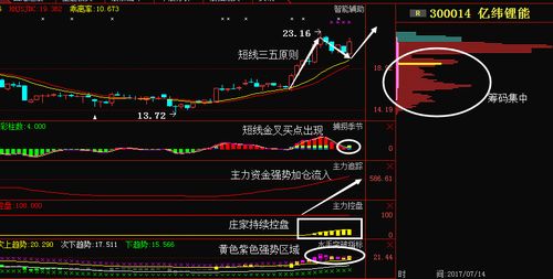 天齐锂业:此黑马遭主力严重低估,有望赶超亿纬锂能